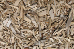 biomass boilers Vagg